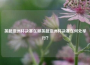 英超亚洲杯决赛在哪英超亚洲杯决赛在何处举行？