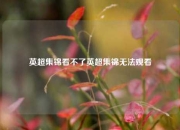 英超集锦看不了英超集锦无法观看
