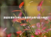 澳超联赛积分榜比分最新积分榜与比分解析
