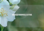 球探篮球即时比分手机