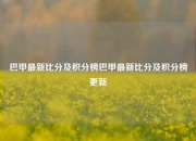 巴甲最新比分及积分榜巴甲最新比分及积分榜更新