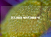 新英超直播吗新英超直播吗？