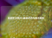 英超积分榜2023最新动态与排名解析